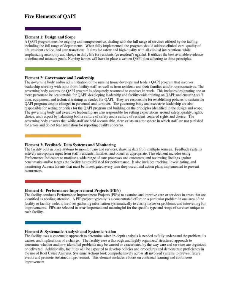 CMS QAPI Five Elements Nursing Home Care Leadership