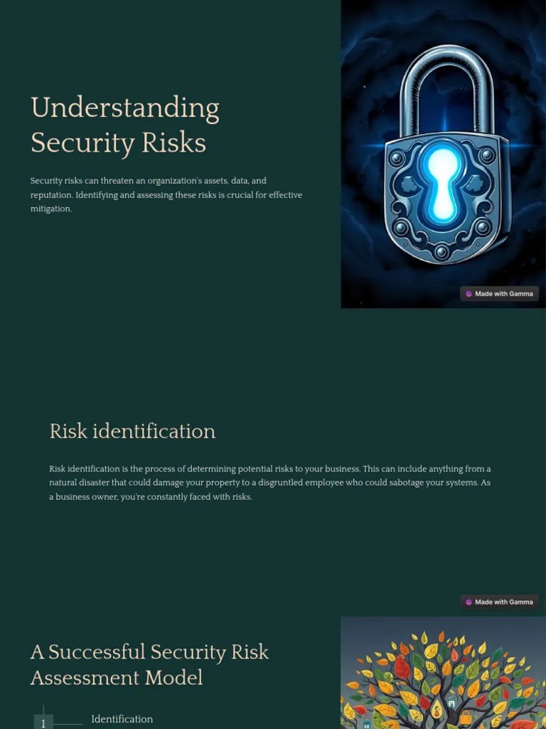 Understanding Security Risks PDF
