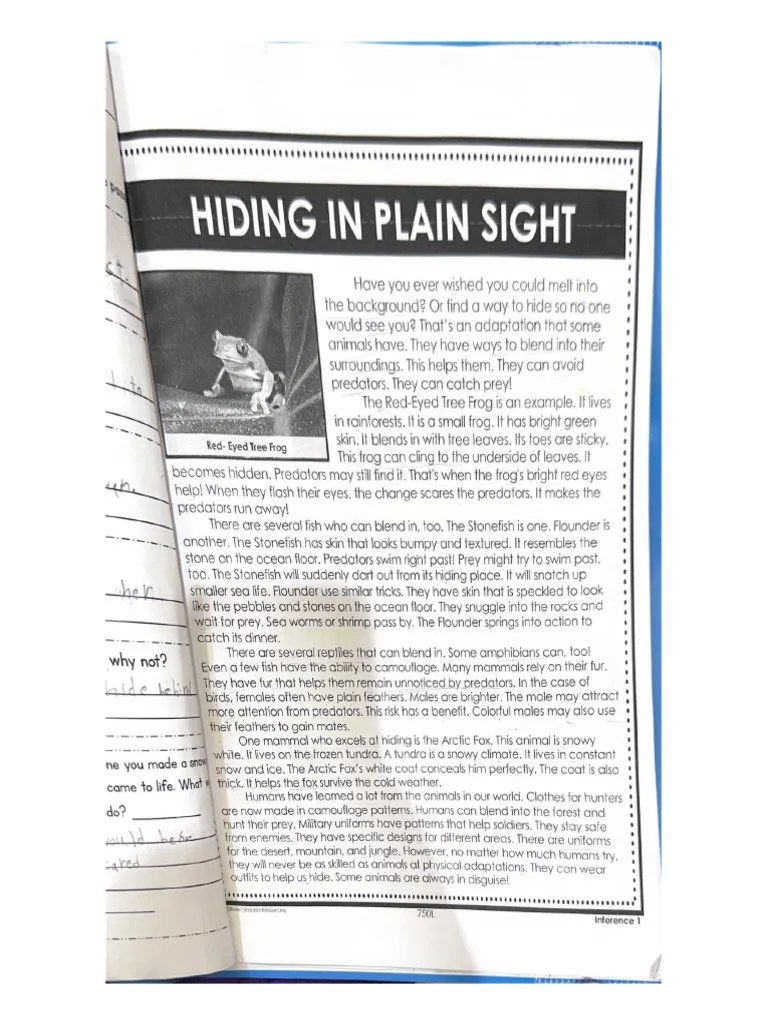 Hiding in Plain Sight PDF