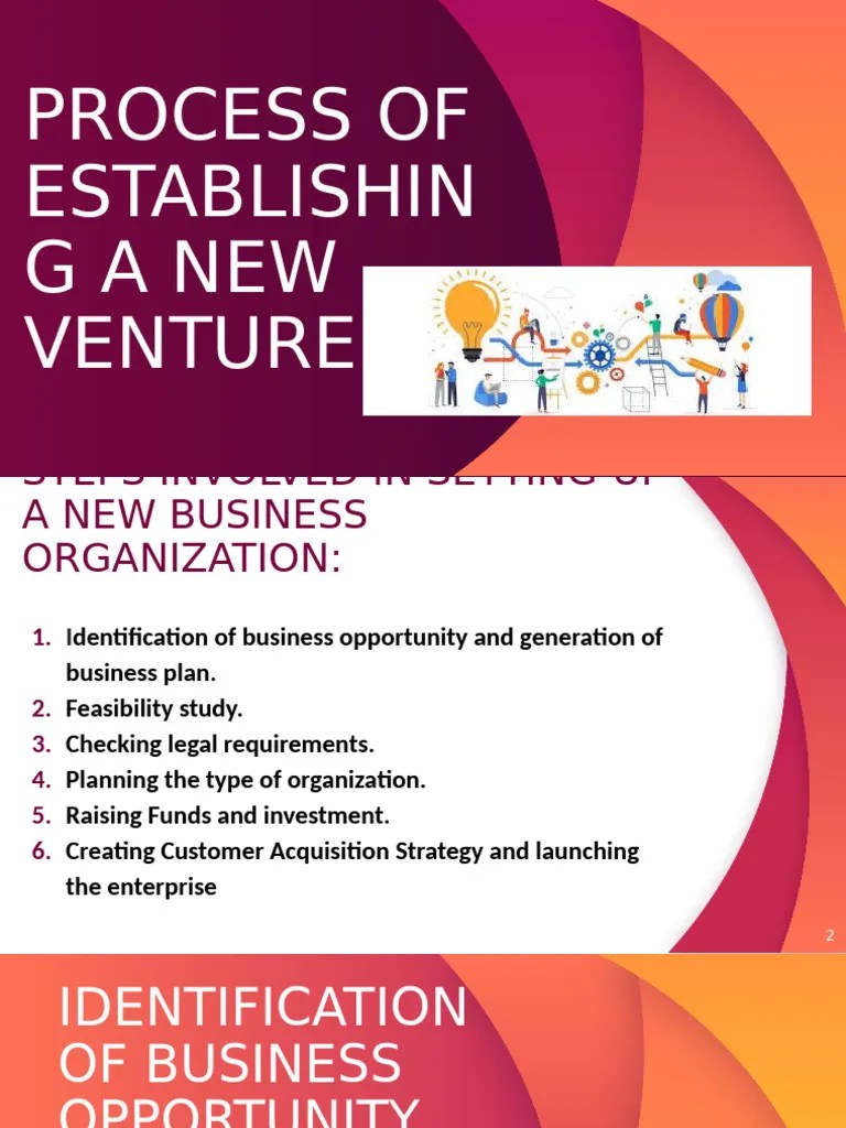 Steps to Launch a New Business Venture PDF Corporate Finance