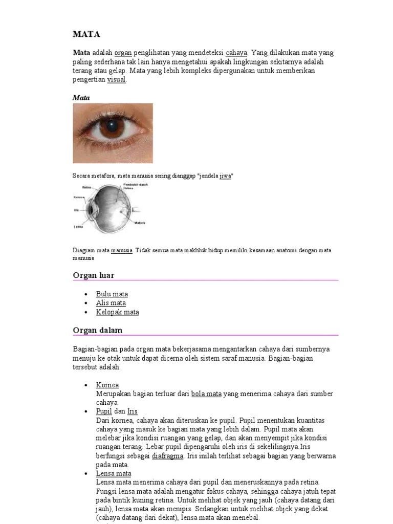Mata Adalah Organ Penglihatan Yang Mendeteksi Cahaya | PDF