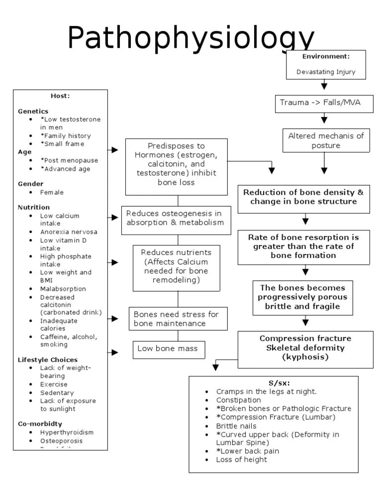 7 Pathophysiology PDF