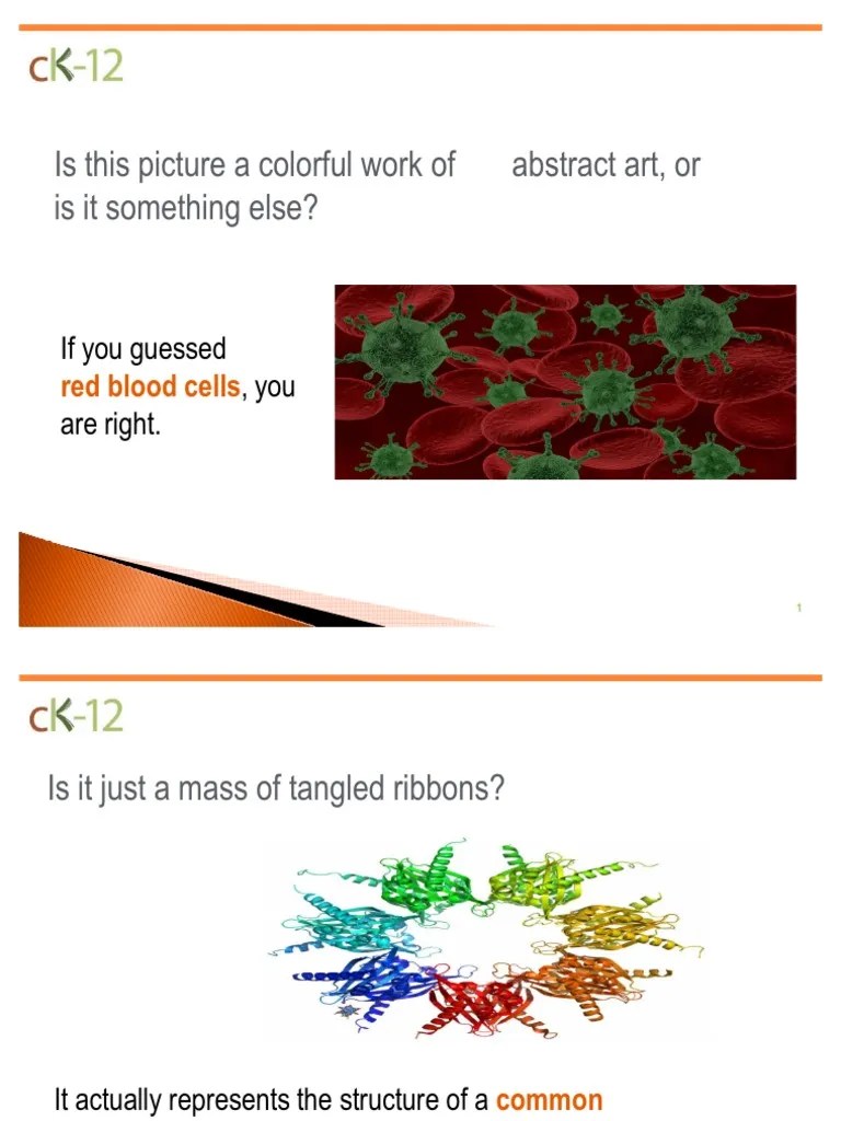 CK12 Biology Flexbook Earth & Life Sciences Biology