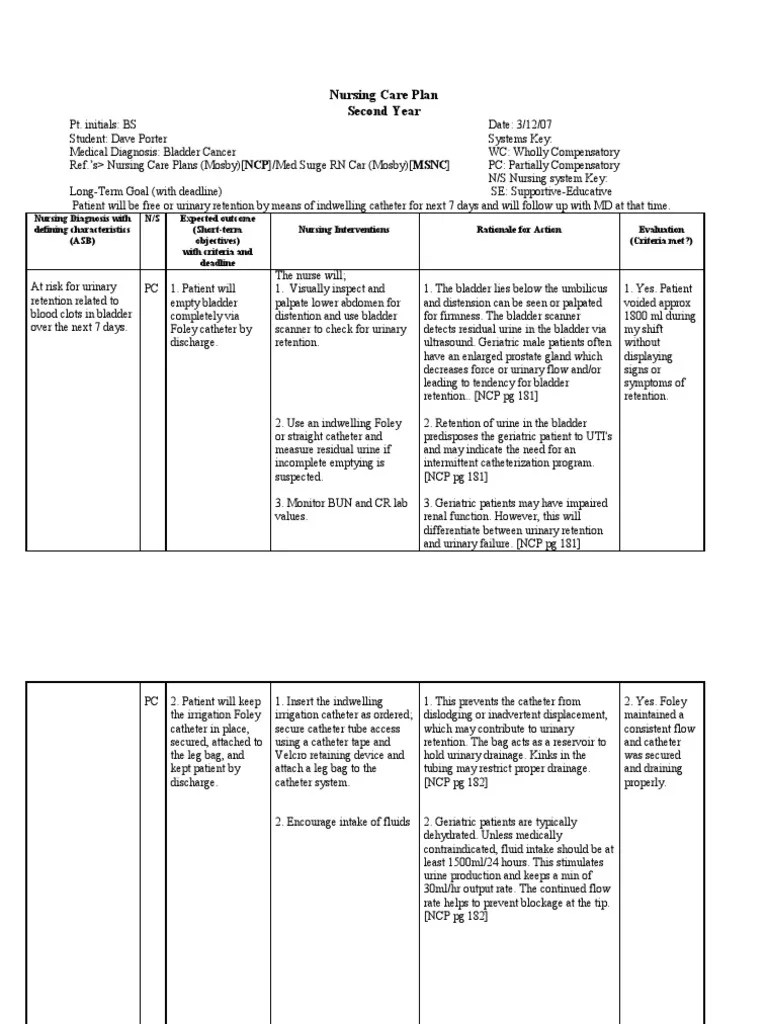 Nursing Care Plan Risk for Urinary Retention Catheter Medical