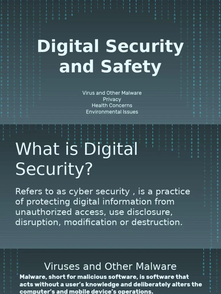 Lesson 3 Digital Security and Safety PDF Malware Computer Virus
