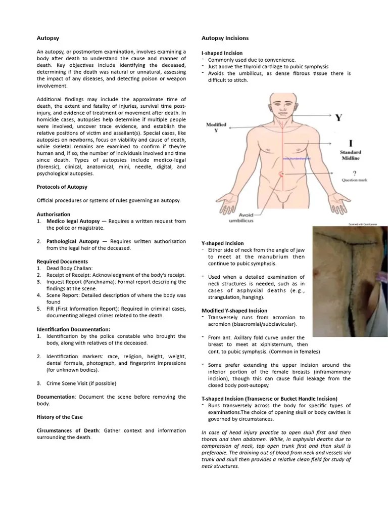 Autopsy PDF Autopsy Lung(02)