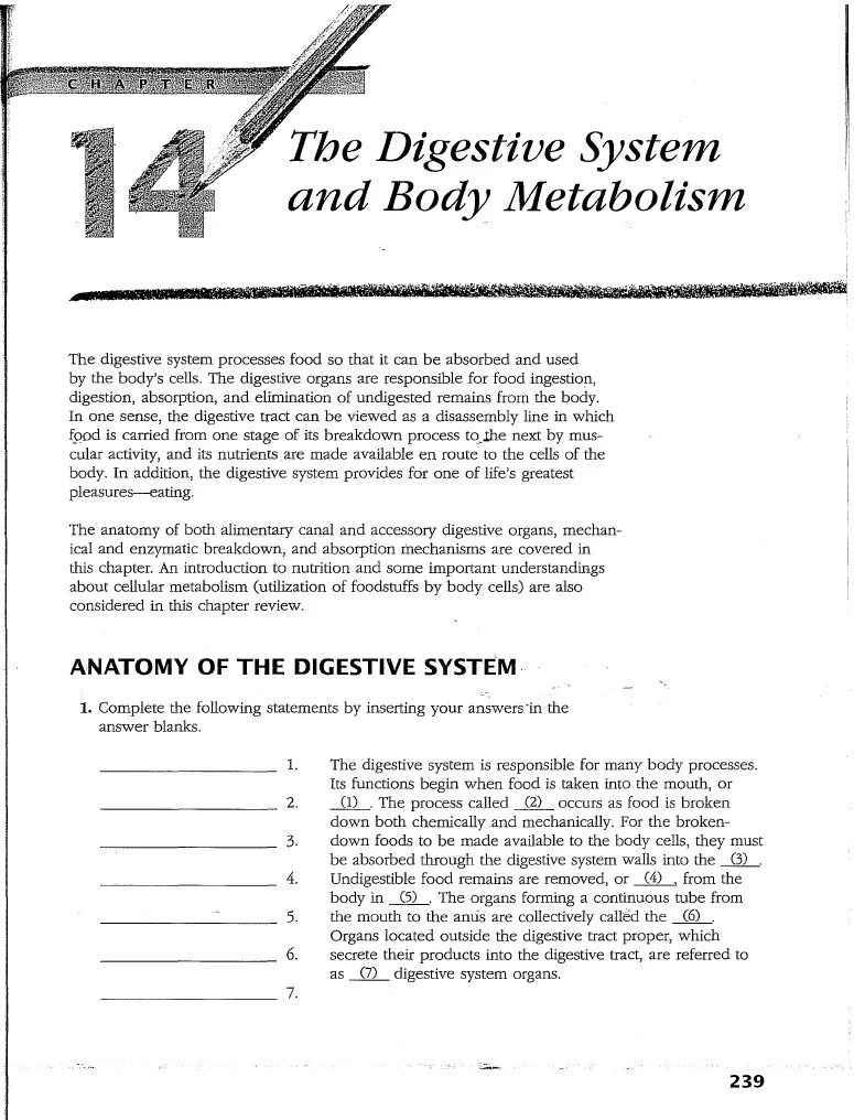 Anatomy And Physiology Digestive Coloring Workbook Answers