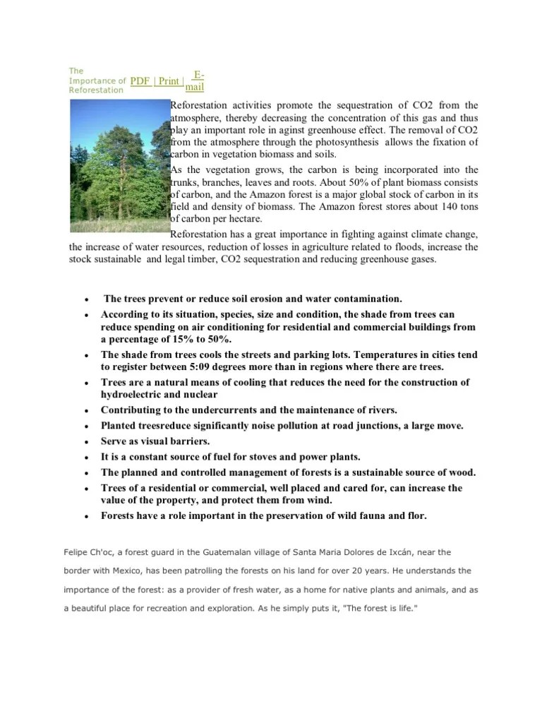 The Importance of Reforestation PDF Soil Ecosystem Services