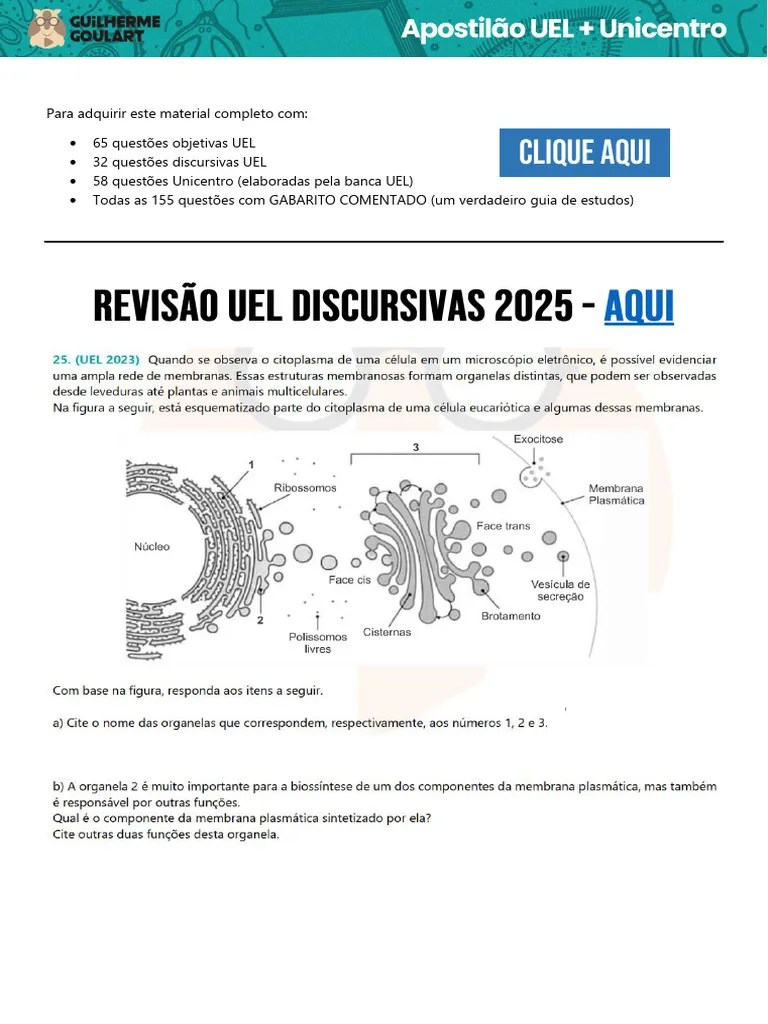 Uel 2025 Pdf Revisao UEL Discursivas 2025 PDF