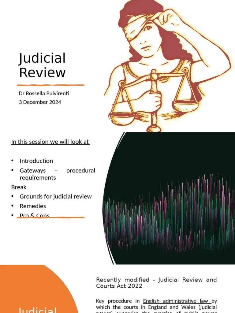 Understanding Judicial Review in England PDF Governance Judiciaries