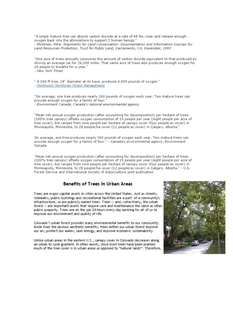 A Single Mature Tree Can Absorb Carbon Dioxide at A Rate of 48 Lbs