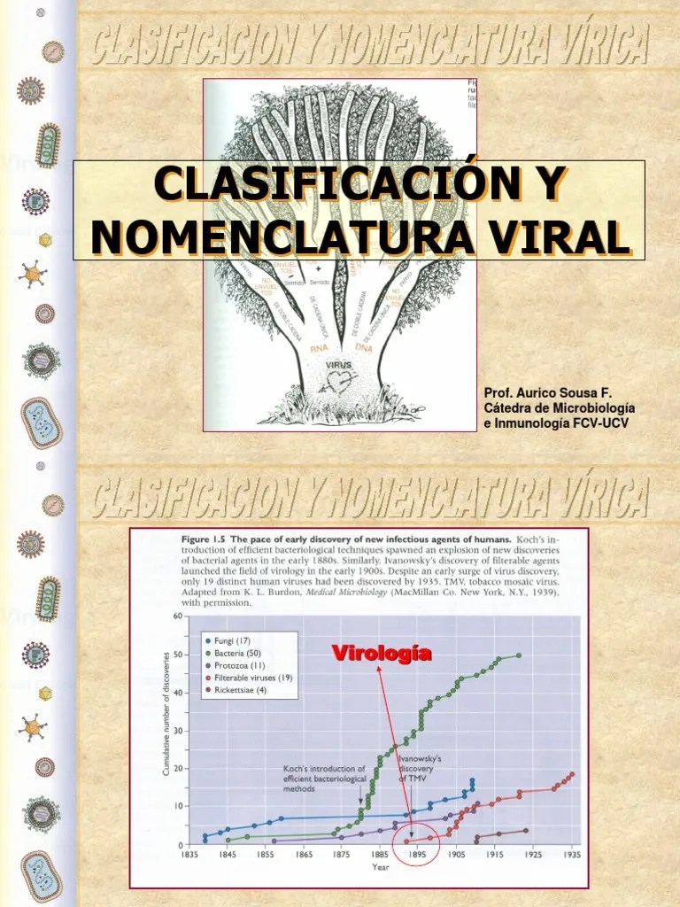 21 Taxonomia Viral Virus Ciencias de la tierra y de la vida