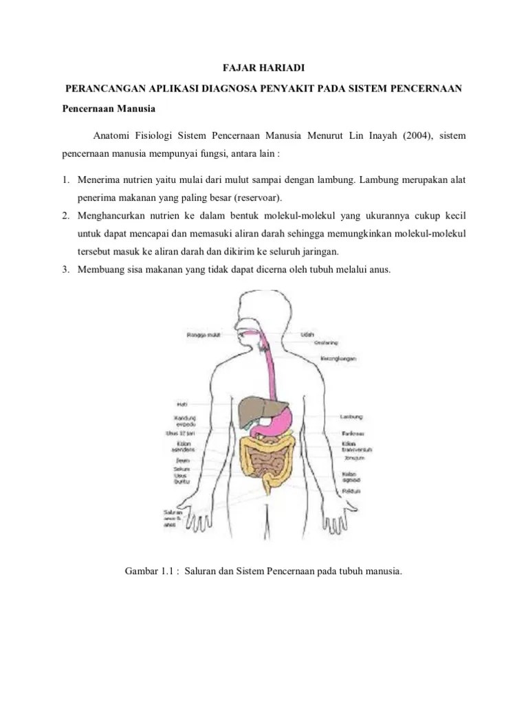 AI Diagnosa Penyakit Sistem Pencernaan PDF