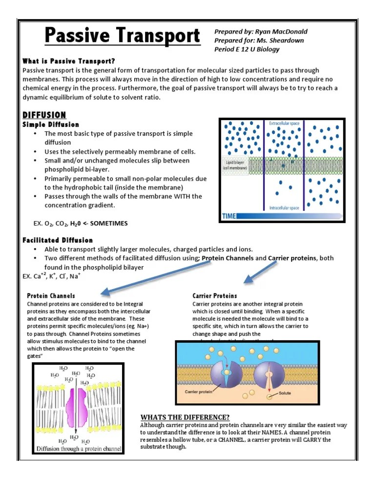 Passive Transport Osmosis Membrane Biology