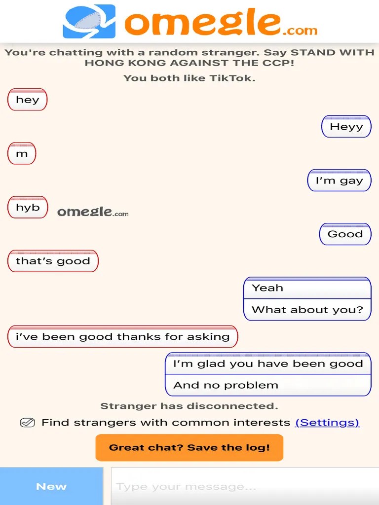Omegle Talk To Strangers! PDF