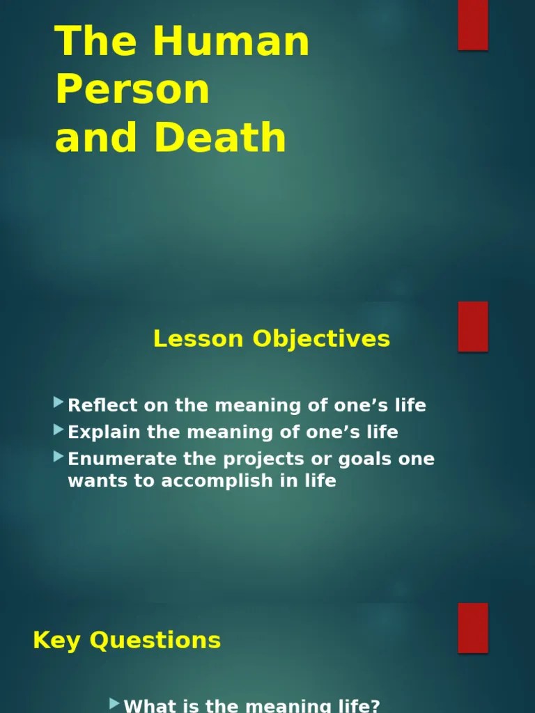 Exploring Lifes Meaning And Death Pdf Suffering Happiness