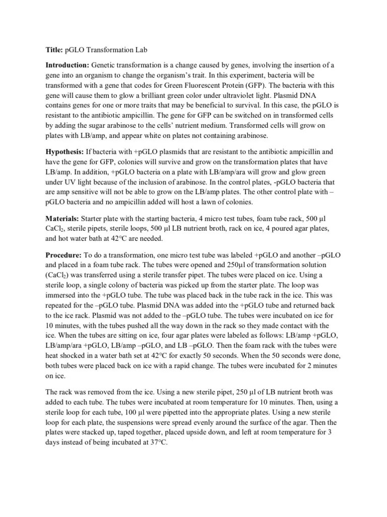 AP Lab 6 pGLO Transformation Lab Transformation Plasmid