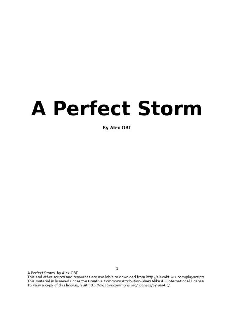 A Perfect Storm PDF