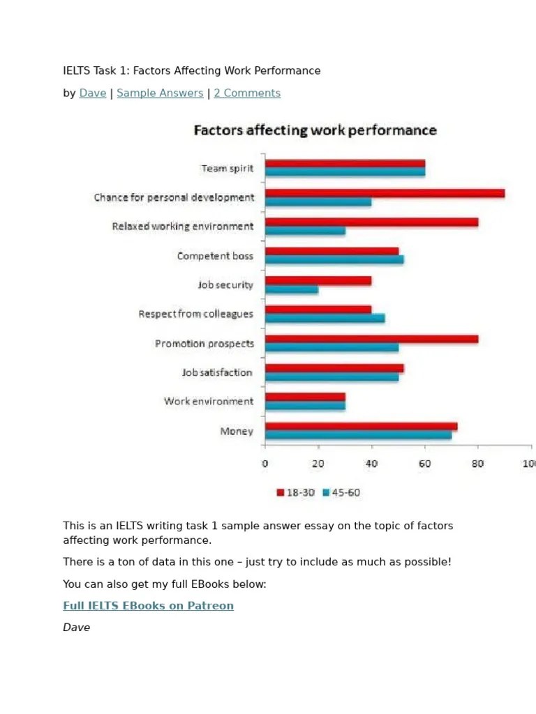 Factors Influencing Work Performance PDF Salary Job Security