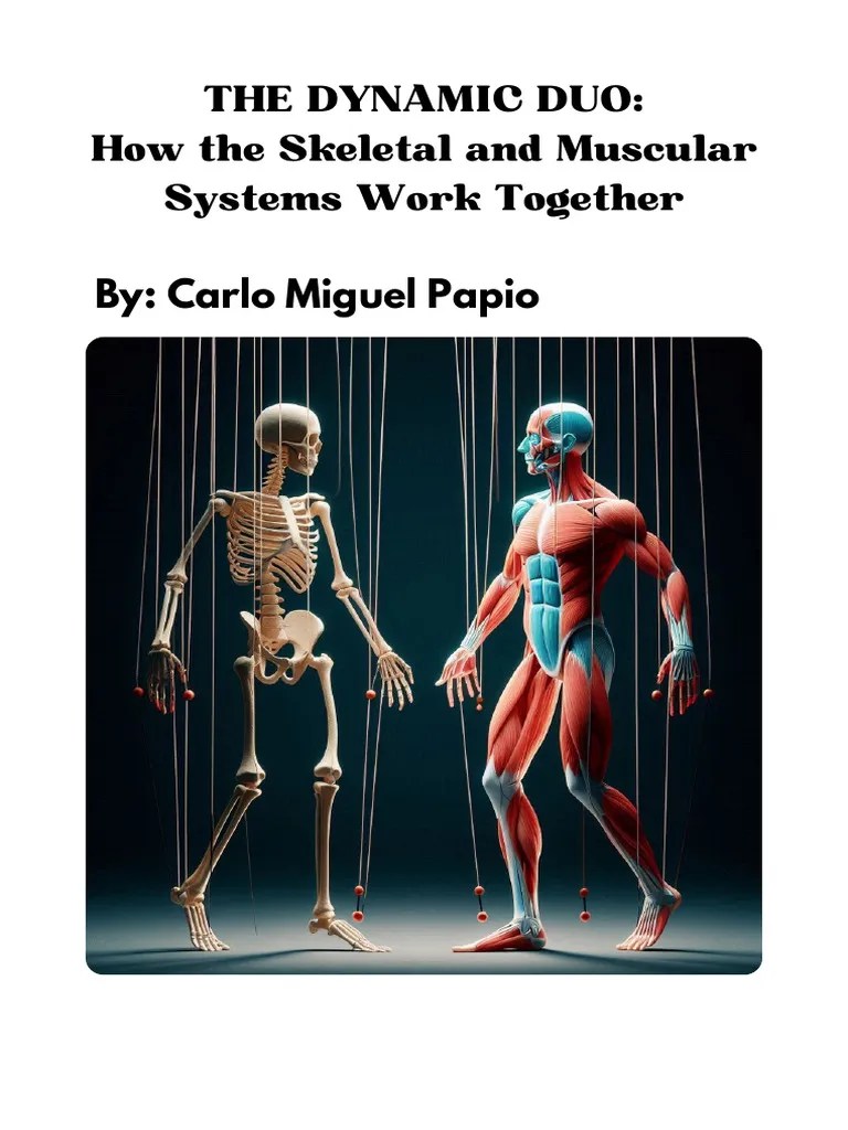 The Dynamic Duo Pdf