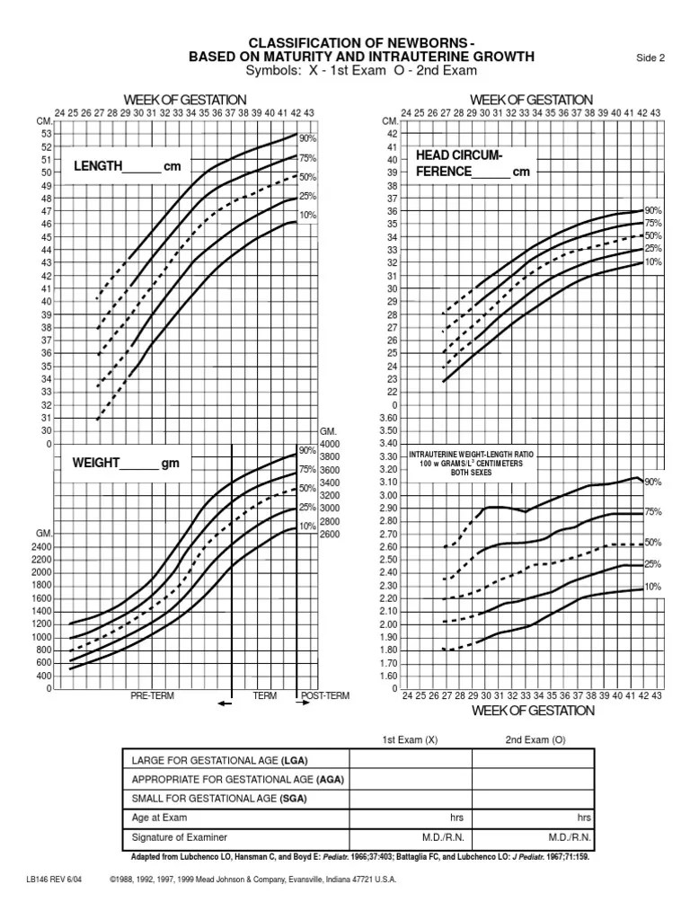 Ballard Newborn Assessment Labia Infants