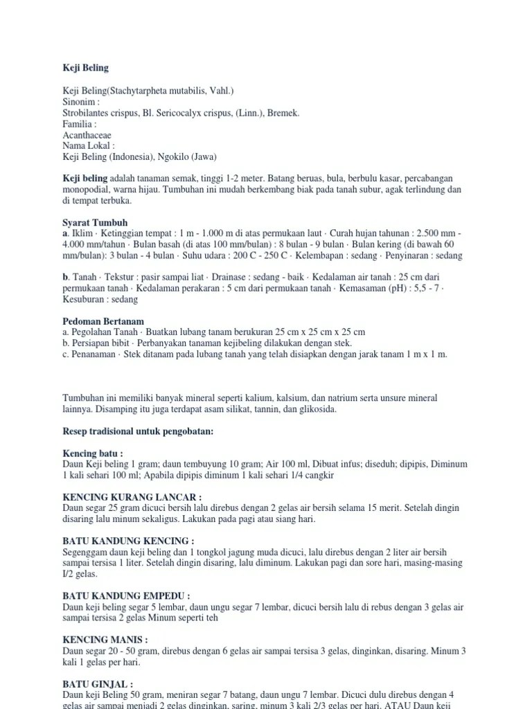 Keji Beling | PDF