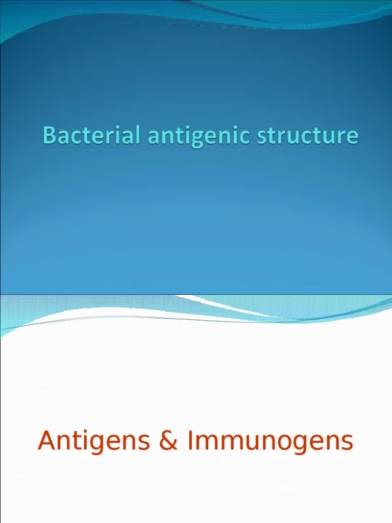 Bacterial Antigenic Structure Antigen Immunogenicity