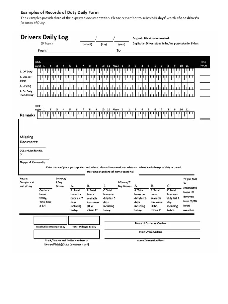 Driver's Daily Log Examples and Guidelines | PDF