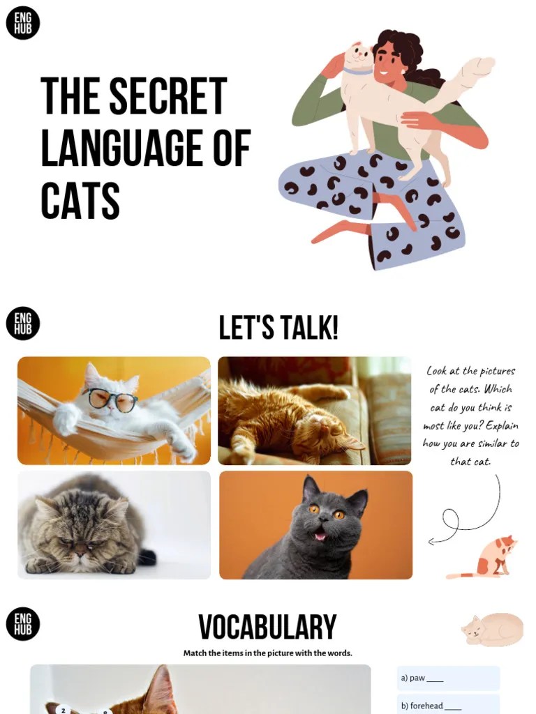 Discover the Secret Language of Cats PDF Cats Domesticated Animals