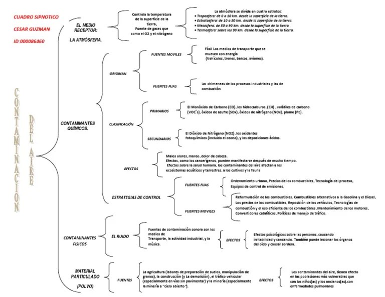 Cuadro Sipnotico Contaminacion Del Aire Cesar Guzman