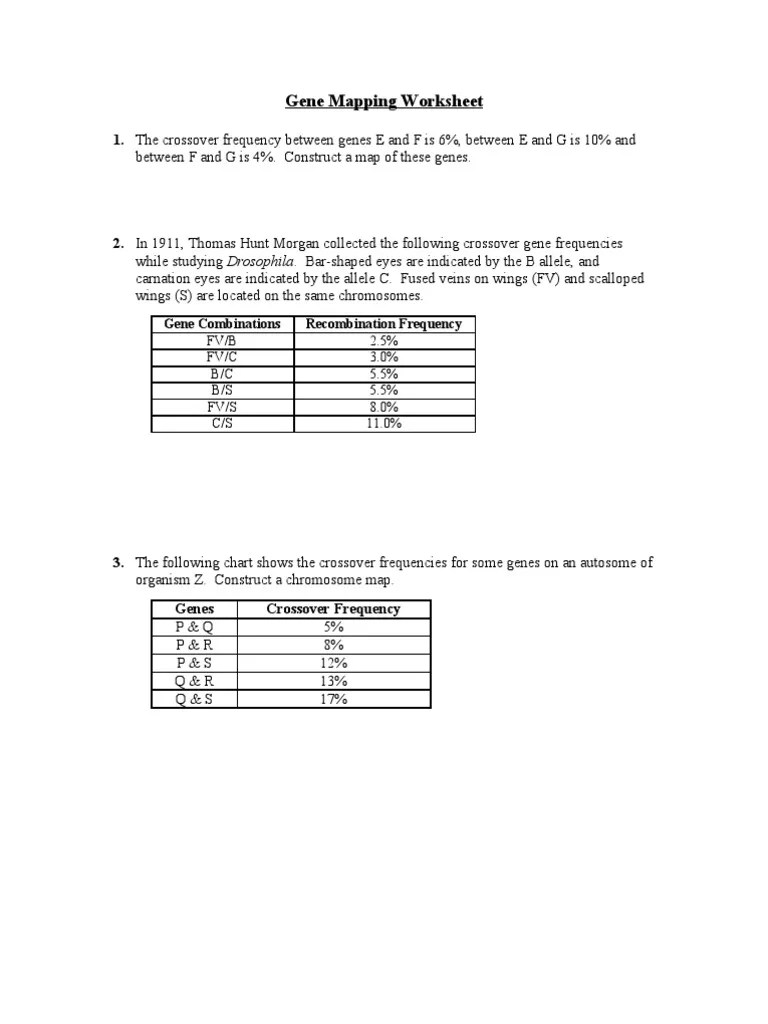 Gene Mapping Worksheet Linkage Gene