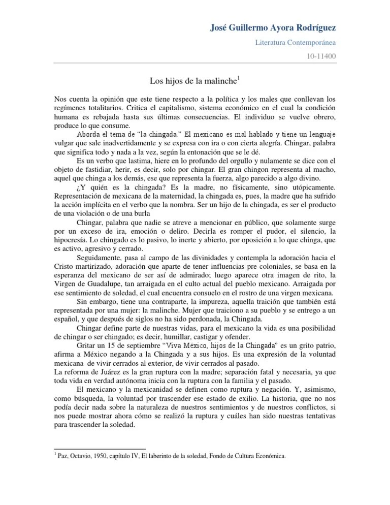 Los Hijos de La Malinche Ira México