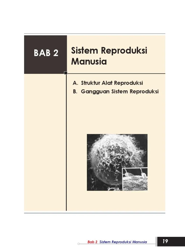 IPA KLS 9 BAB 2-Sistem Reproduksi Manusia | PDF