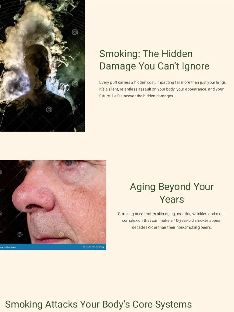 Smoking The Hidden Damage You Cant Ignore PDF