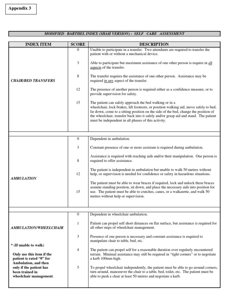 Modified Barthel Index (Shah Ver.) Wheelchair Hygiene