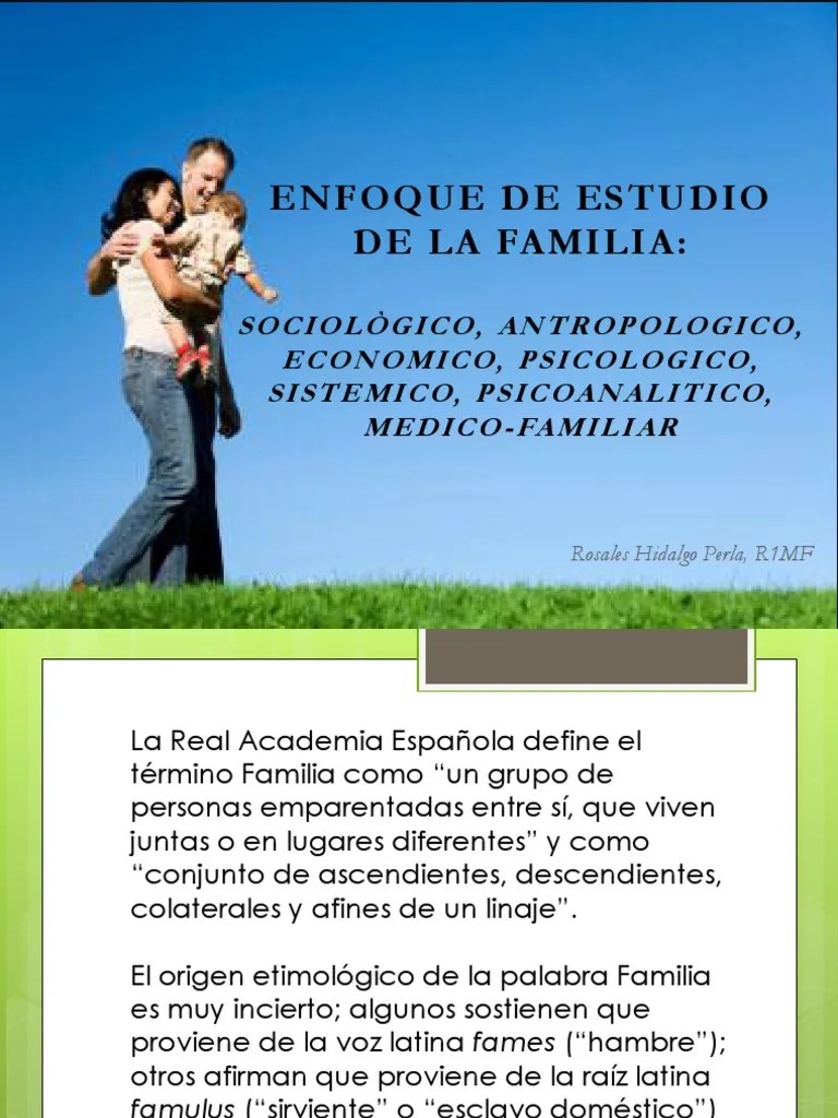 Enfoque de Estudio de La Familia PDF Sicología Familia