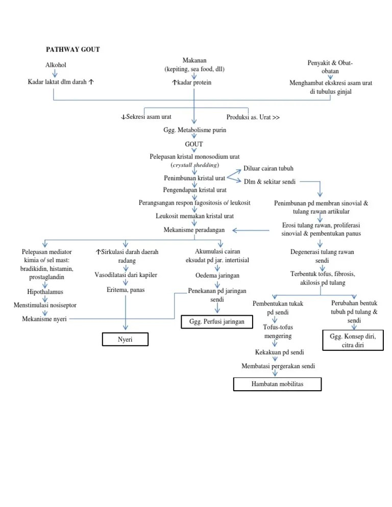 Pathway Gout Kelompok 5
