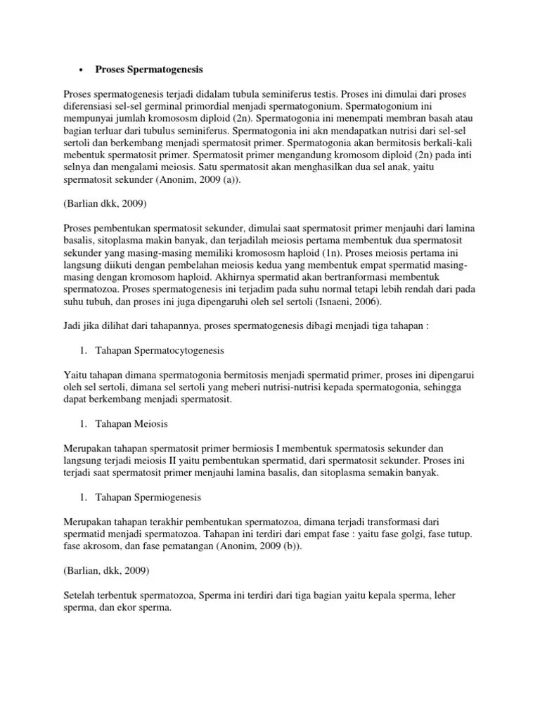 Proses Spermatogenesis | PDF