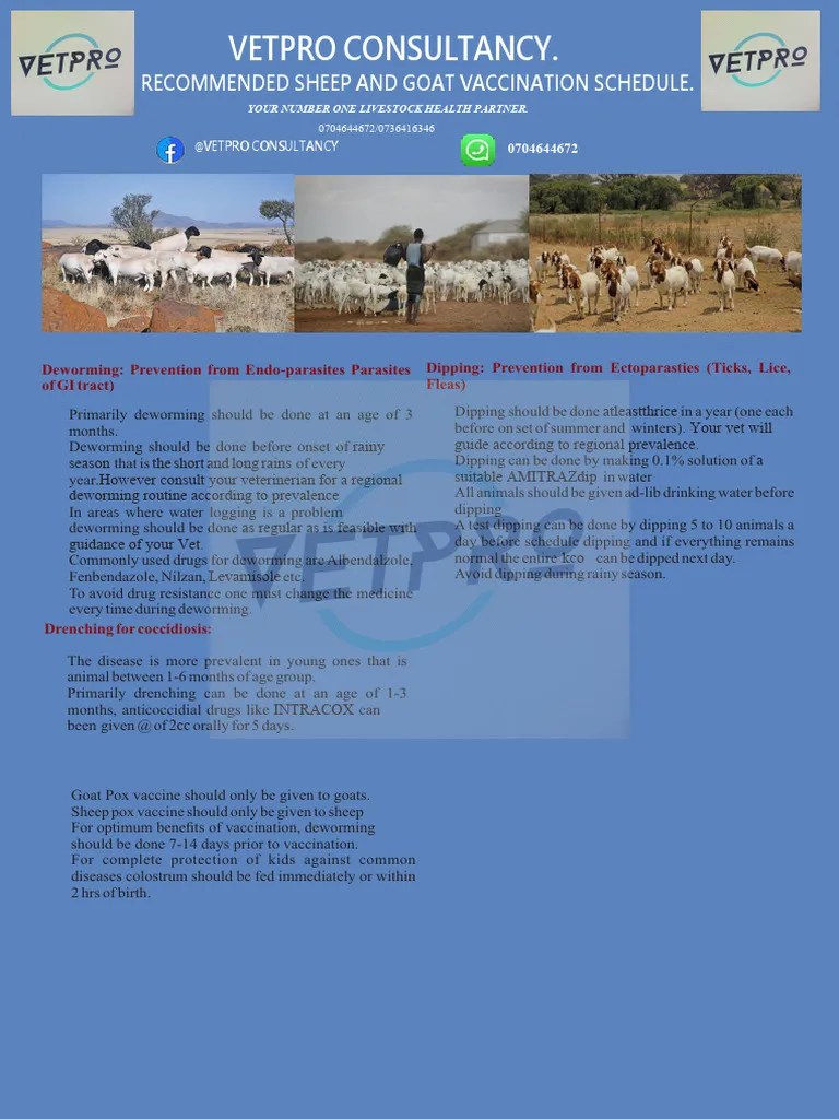 Sheep and Goat Vaccination Schedule PDF Sheep Vaccines