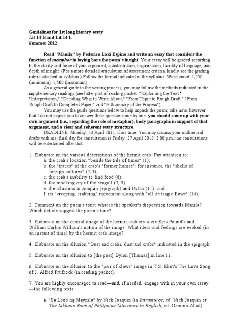 Guidelines for 1st Long Literary Essay Summer 2012 Essays Poetry