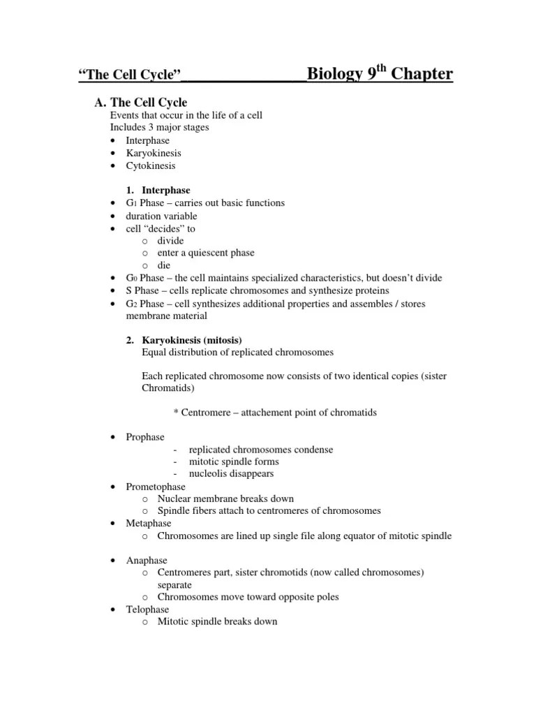 Notes For Biology Chapter 9 PDF Mitosis Biochemistry