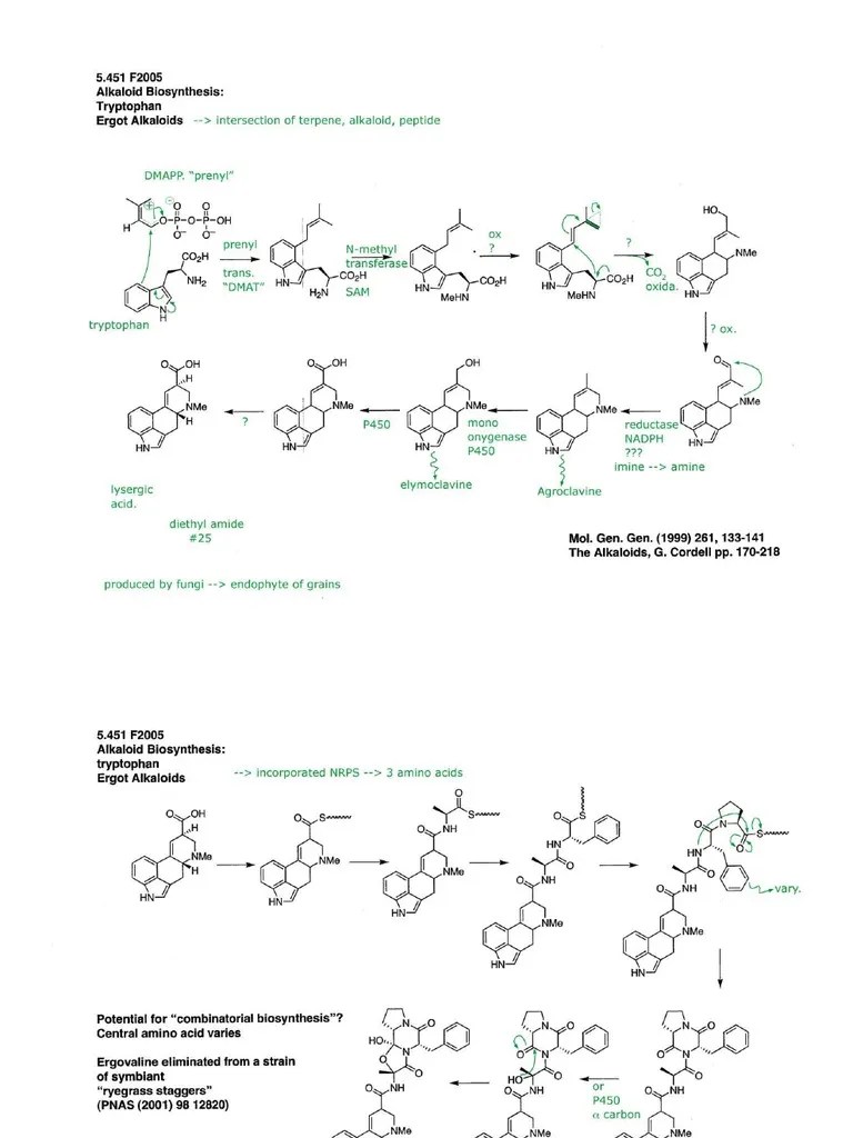 NSC Exam Papers November 2013 BeraPortal.com