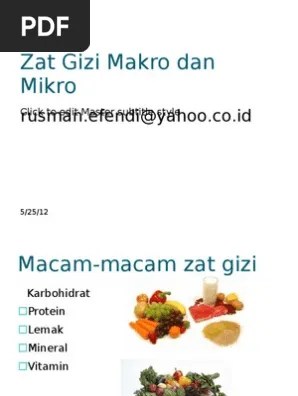 2 Zat Gizi Makro Dan Mikro | PDF