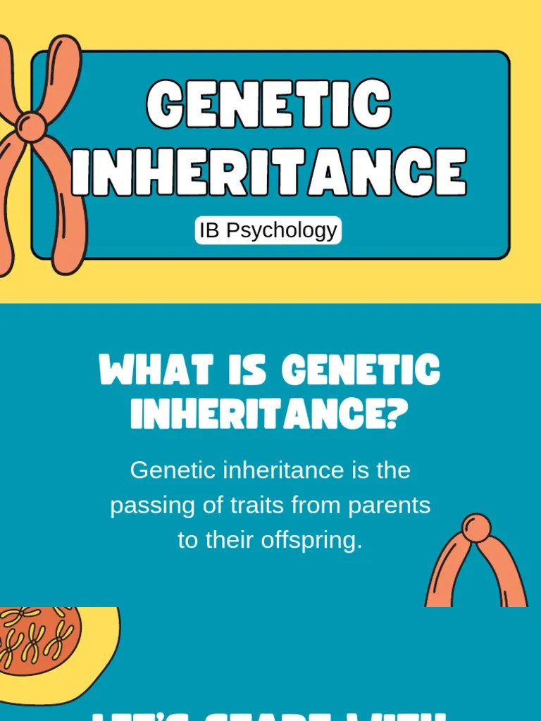 Understanding Inheritance Types PDF Genotype Dominance