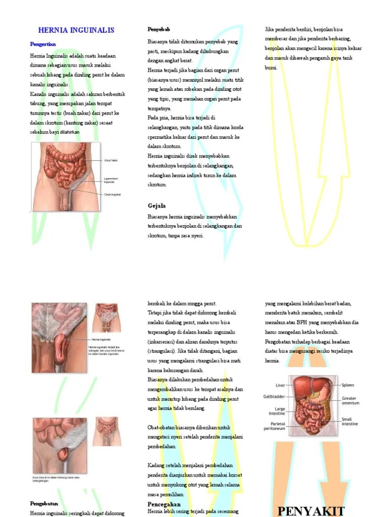 Leaflet Hernia