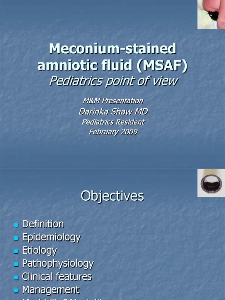 MeconiumStained Amniotic Fluid MSAF Nitric Oxide Lung