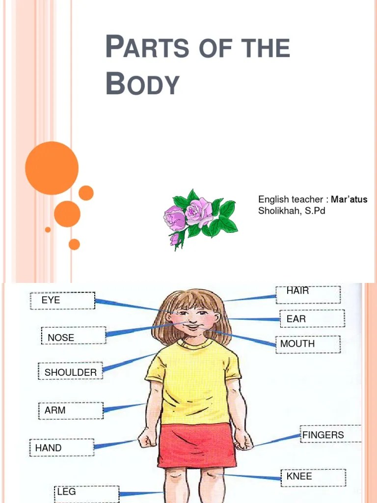 Soal Bahasa Inggris Part Of Body Guru Paud