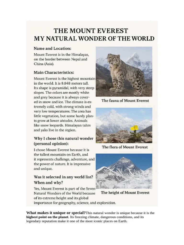 What Makes It Unique Or Special Pdf