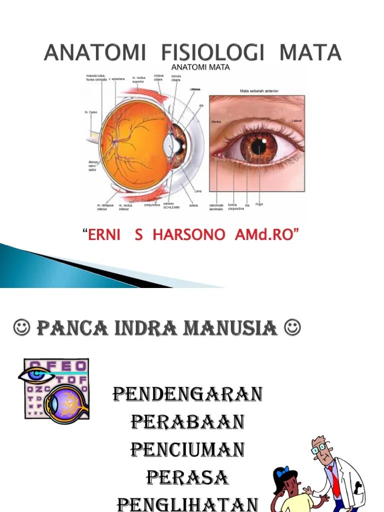 Kuliah Anatomi Fisiologi Mata