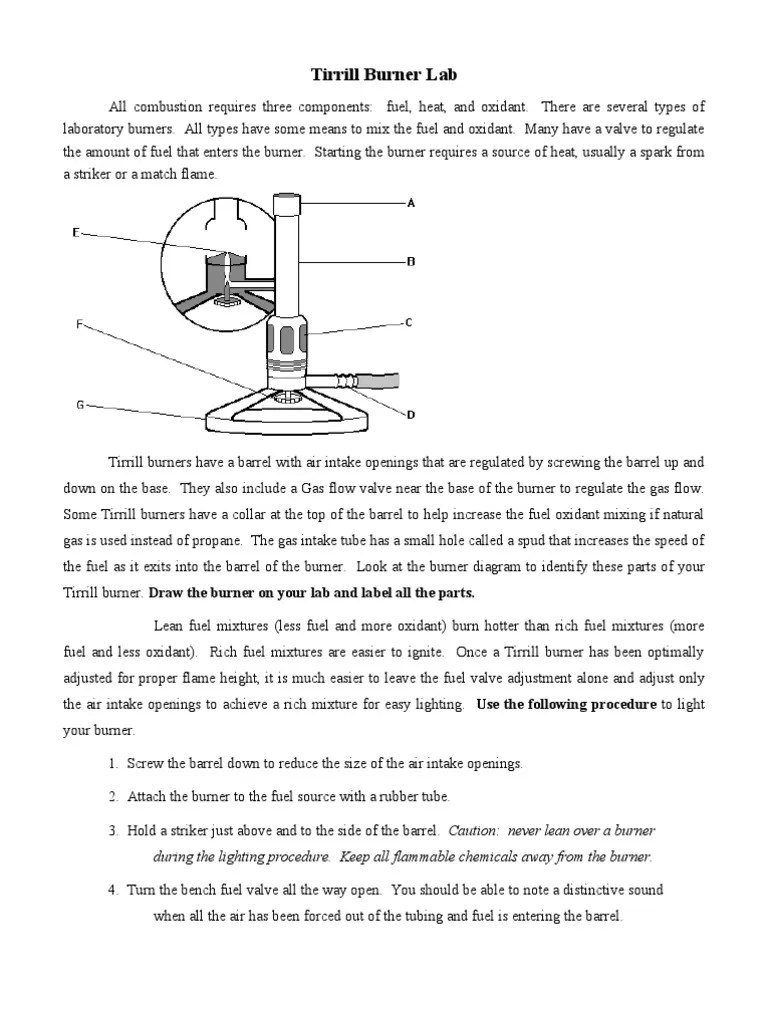 Tirrill Burner Lab PDF Combustion Fuels
